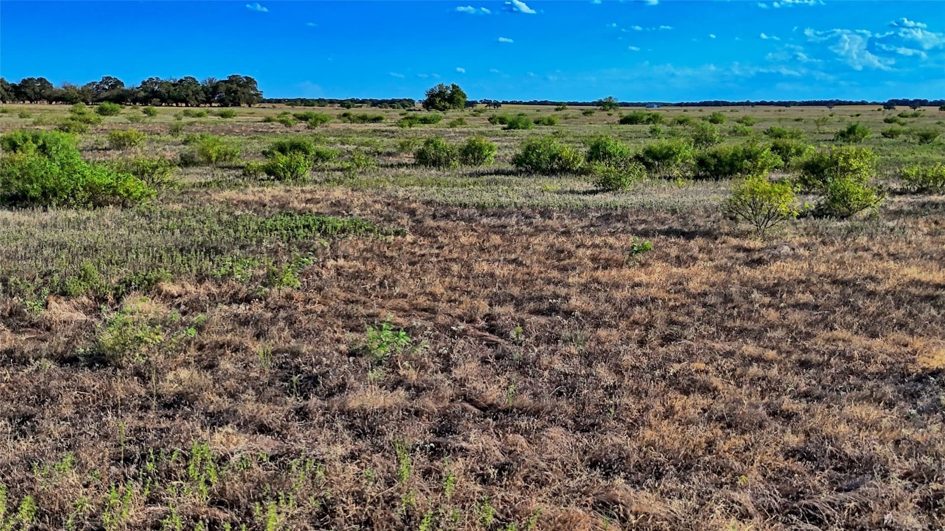 39.59 acres in Clay County - photo 9