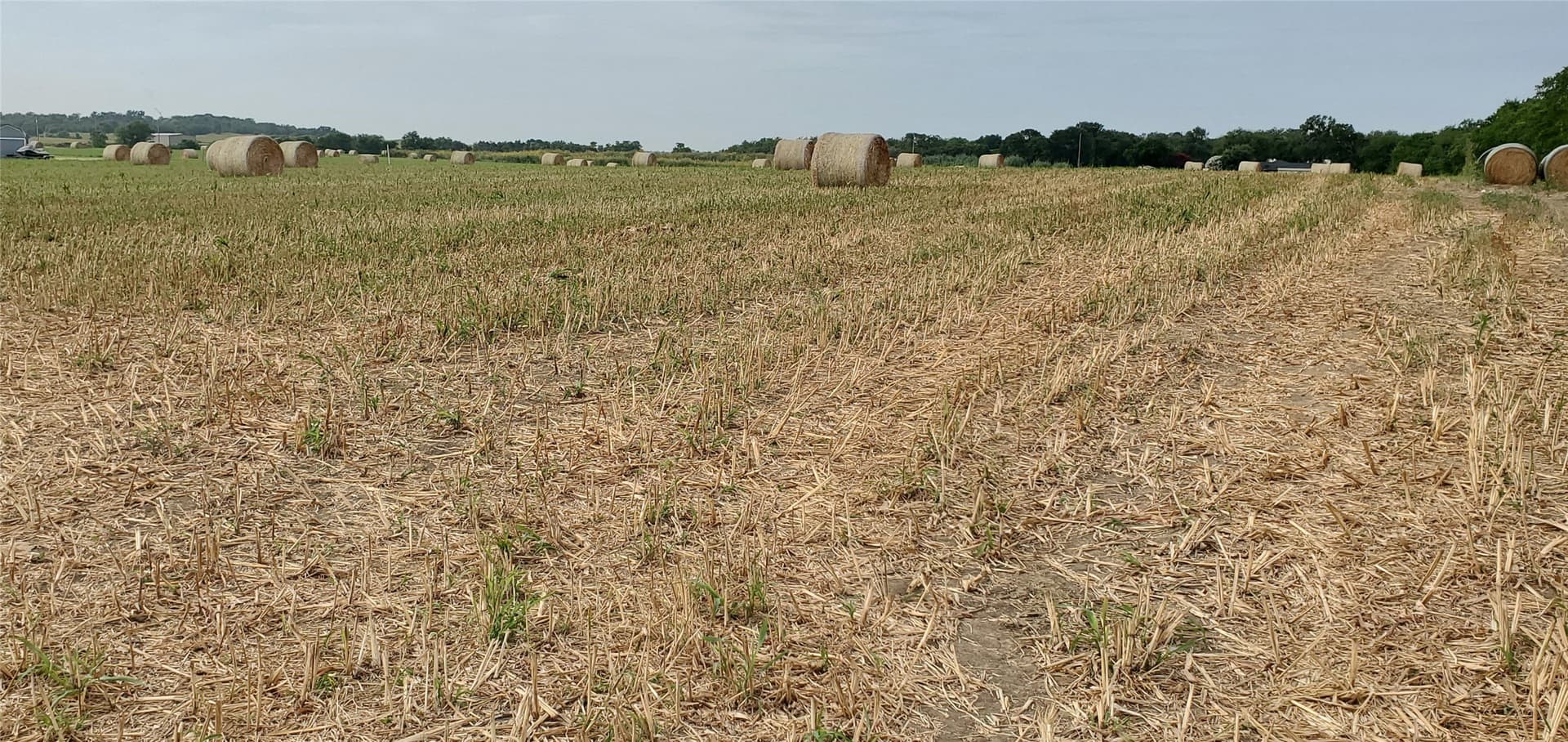 5.84 acres in Bell County - photo 3