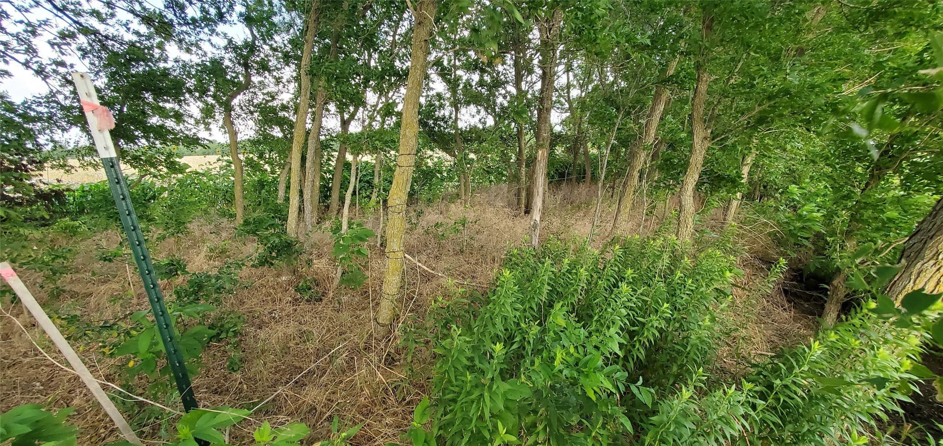 5.84 acres in Bell County - photo 7