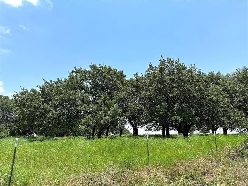 16.74 acres in Coryell County gallery image 3