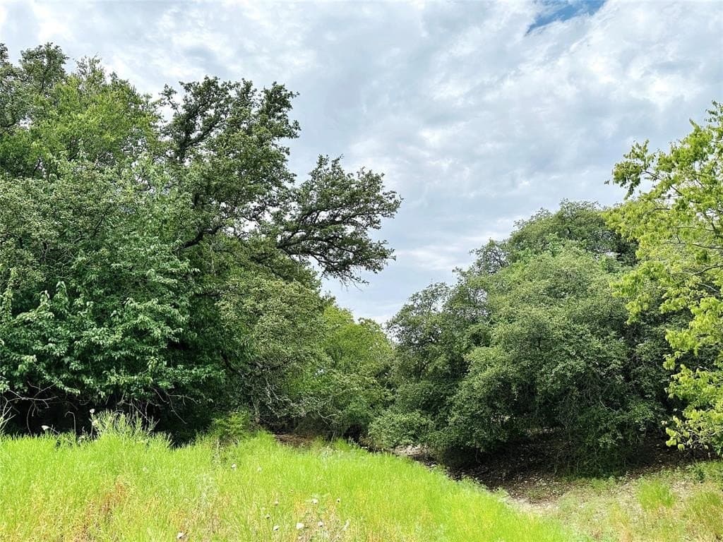 16.74 acres in Coryell County gallery image 4