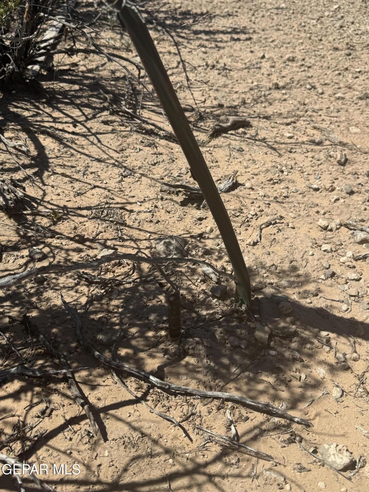 48 acres in Hudspeth County gallery image 4
