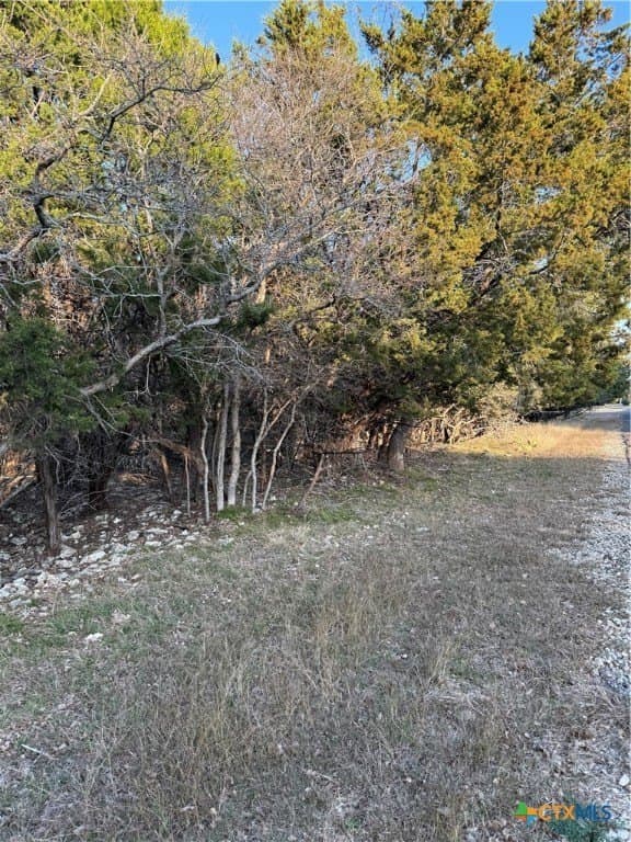 0.38 acres in Bell County gallery image 4
