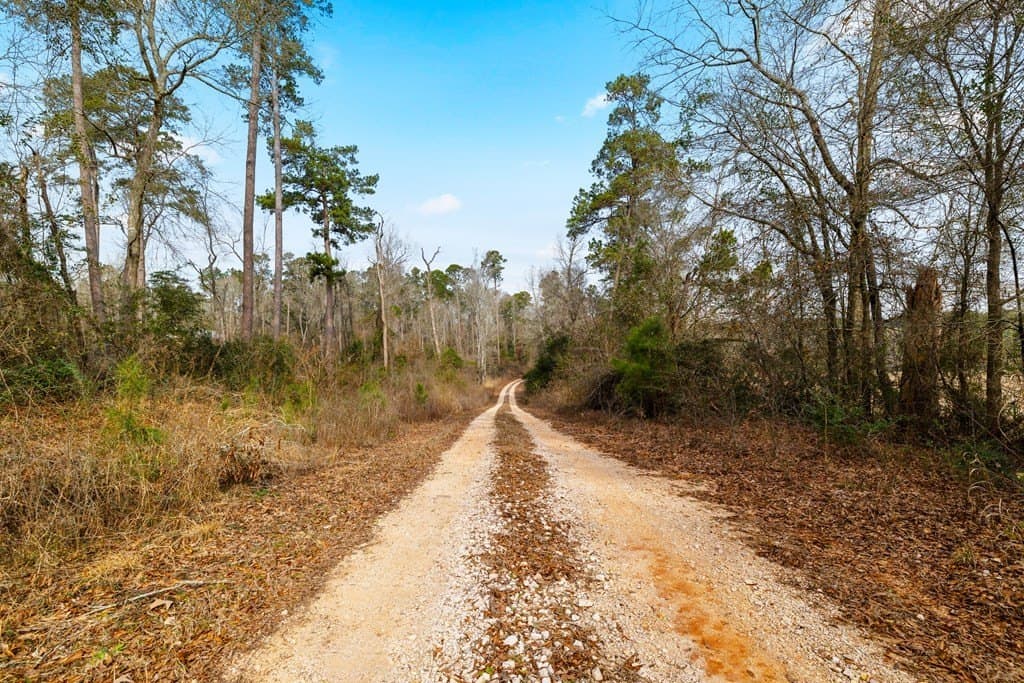 220 acres in Texas County - photo 31