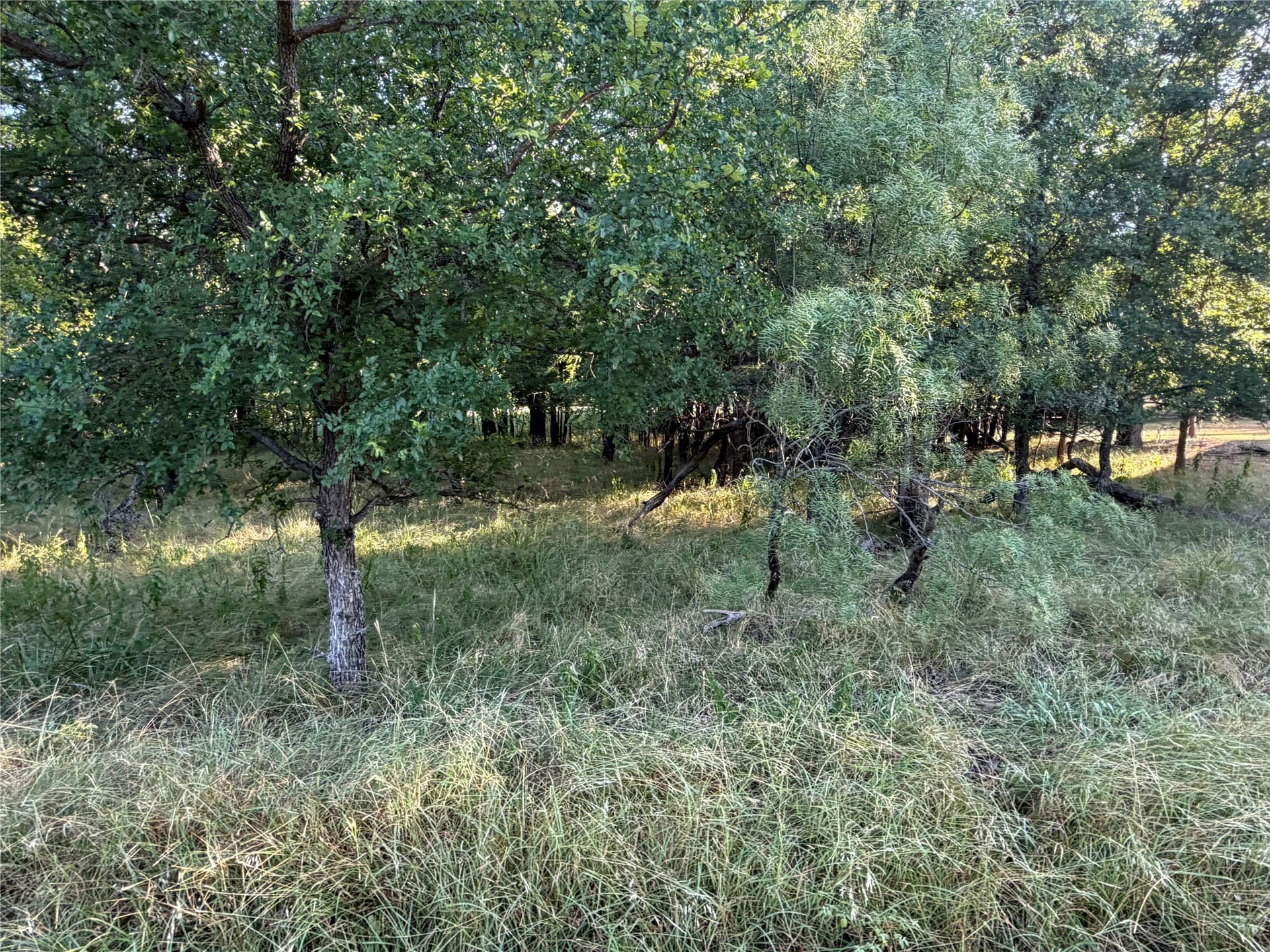 0.1 acres in Brown County - photo 3