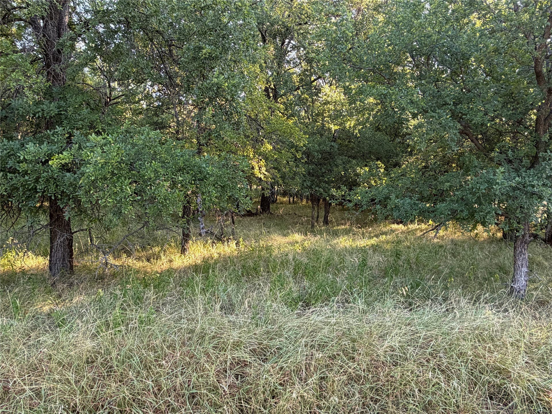 0.1 acres in Brown County - photo 2
