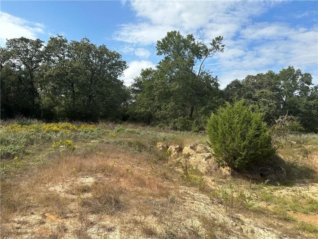 3 acres in Leon County - photo 9