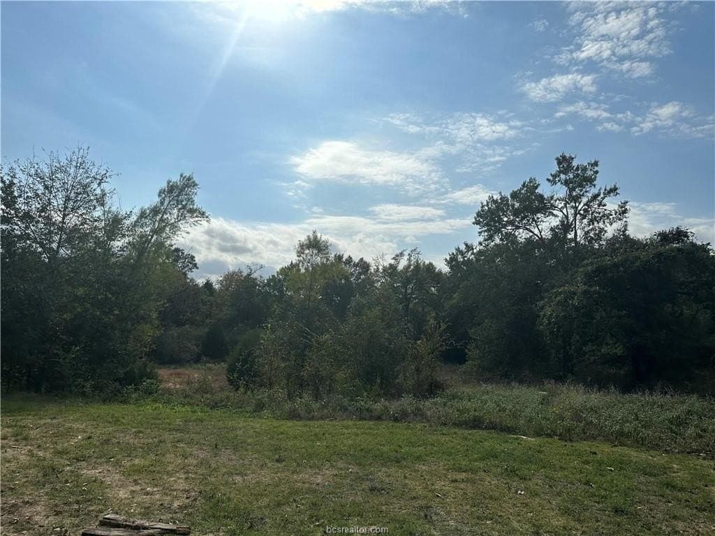 3 acres in Leon County gallery image 4