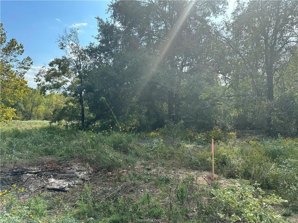 3 acres in Leon County - photo 7