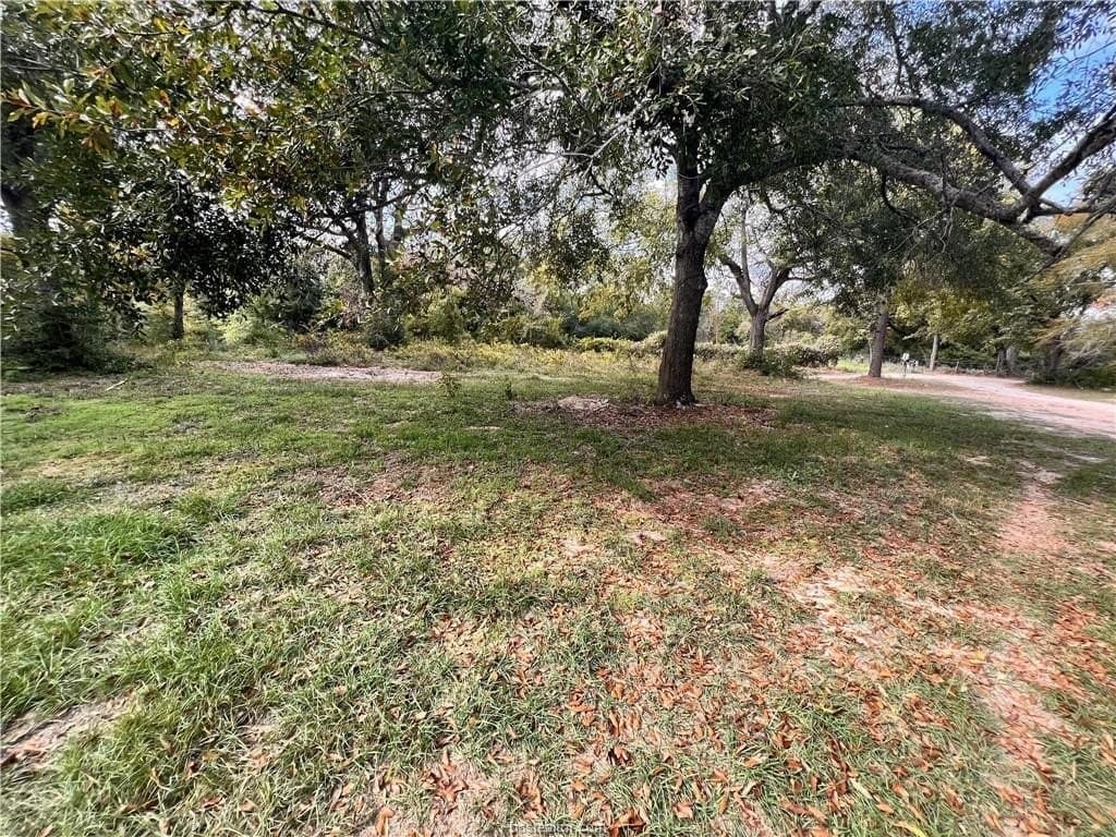 3 acres in Leon County - photo 10
