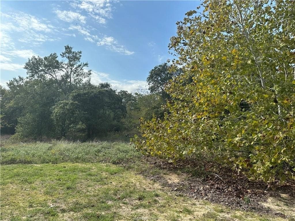 3 acres in Leon County - photo 8