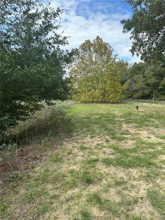 3 acres in Leon County featured view