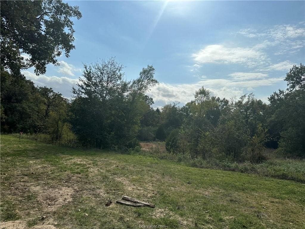 3 acres in Leon County - photo 6