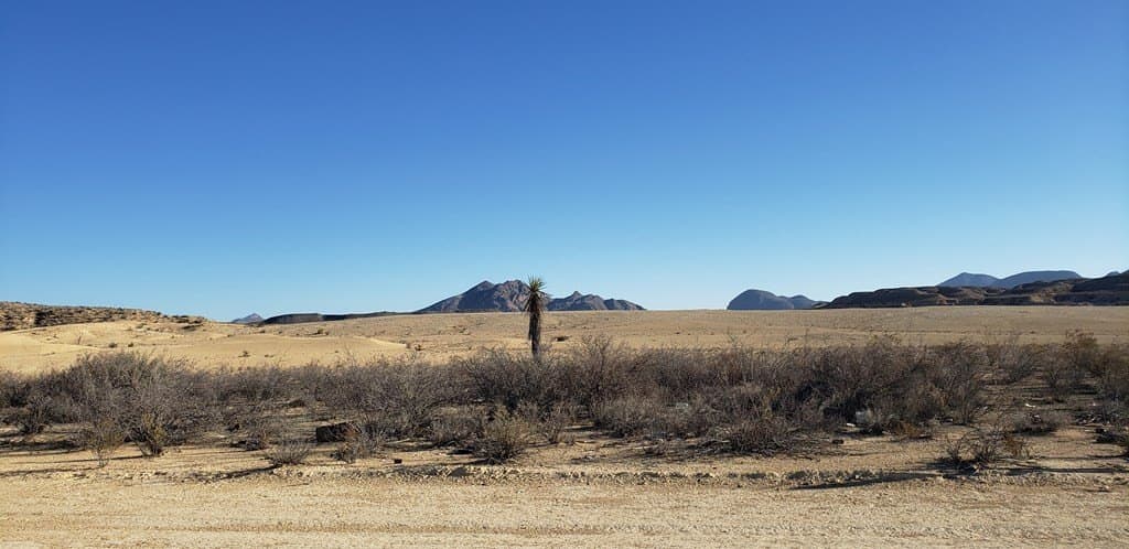 20 acres in Brewster County - photo 6