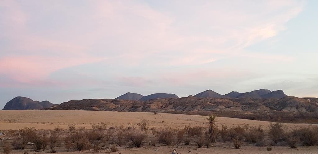 20 acres in Brewster County