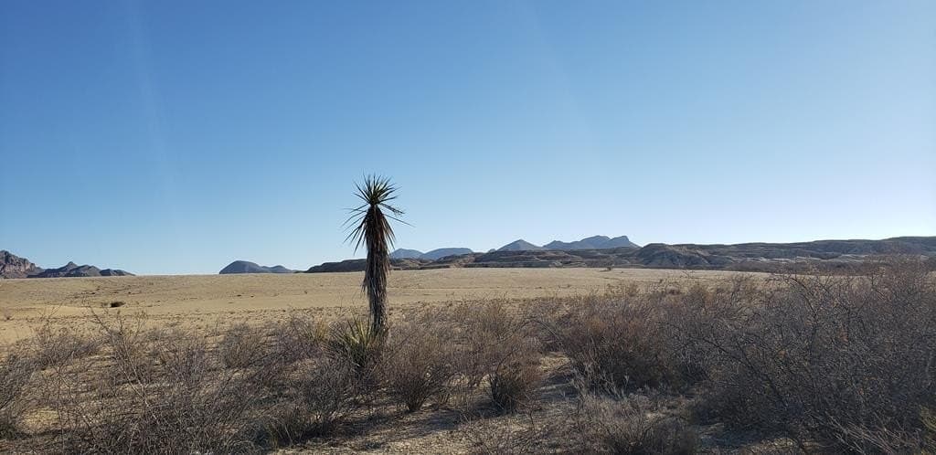 20 acres in Brewster County - photo 23