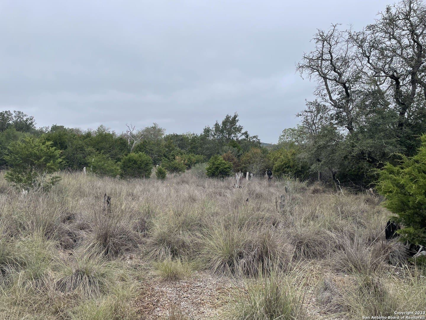 4.31 acres in Kendall County - photo 8
