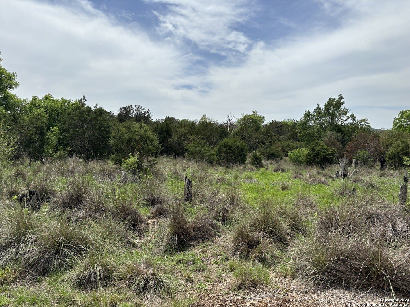 4.31 acres in Kendall County gallery image 4