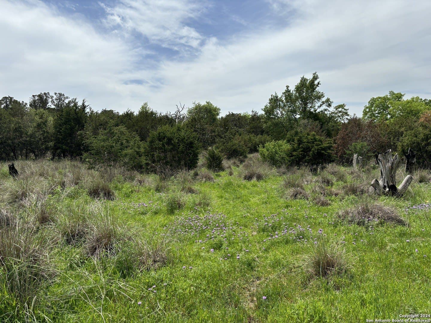 4.31 acres in Kendall County gallery image 2