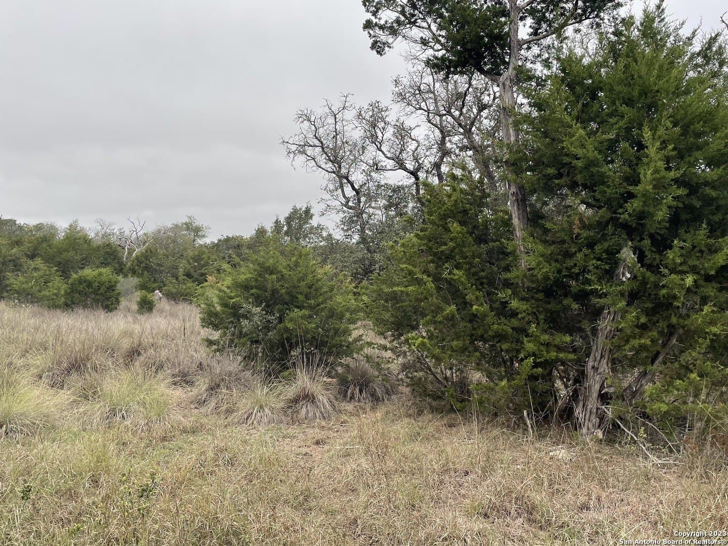 4.31 acres in Kendall County - photo 9