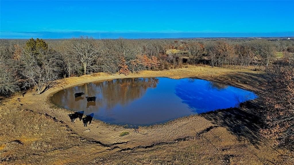159.49 acres in Montague County