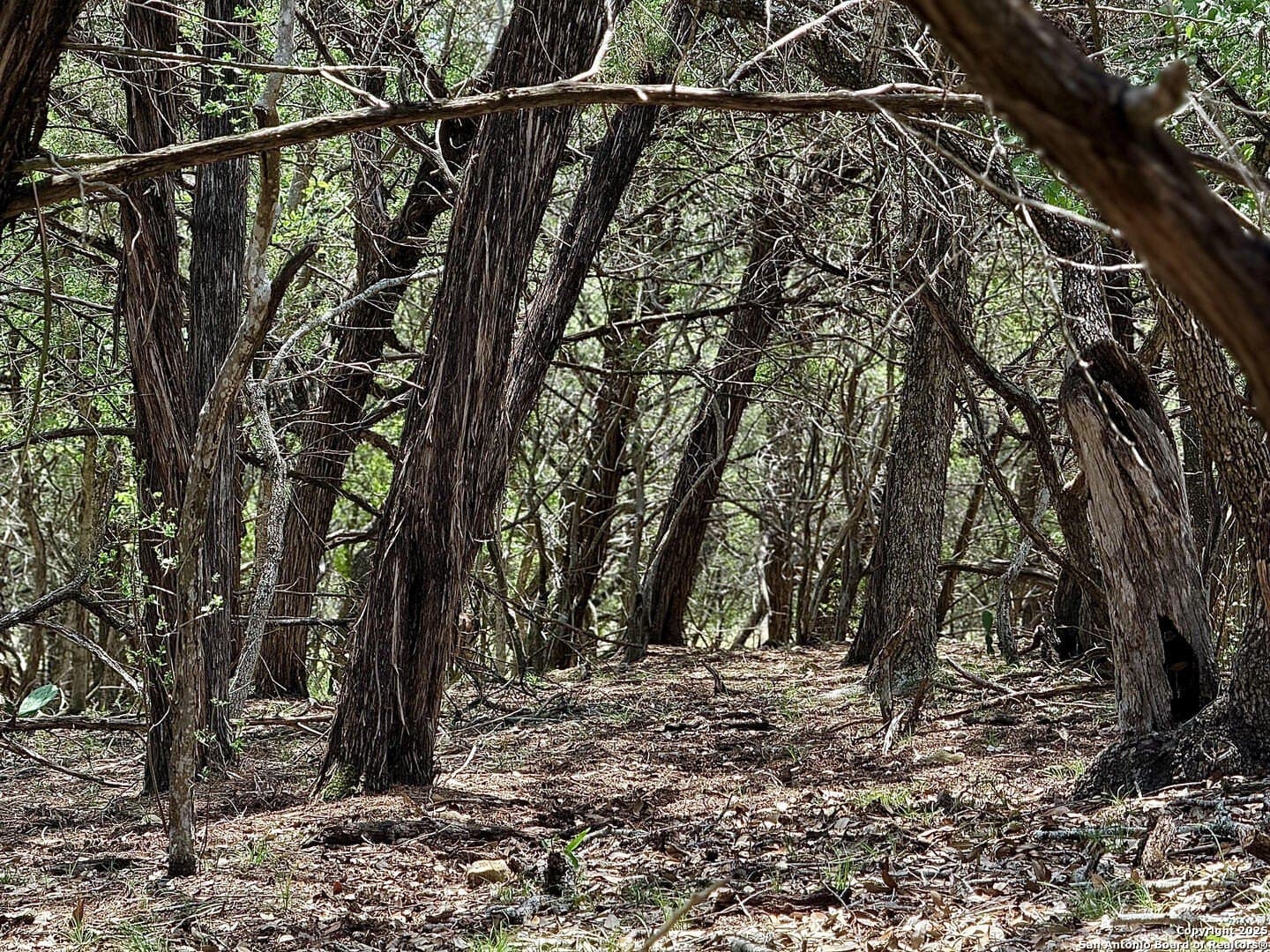 0.29 acres in Bexar County - photo 16