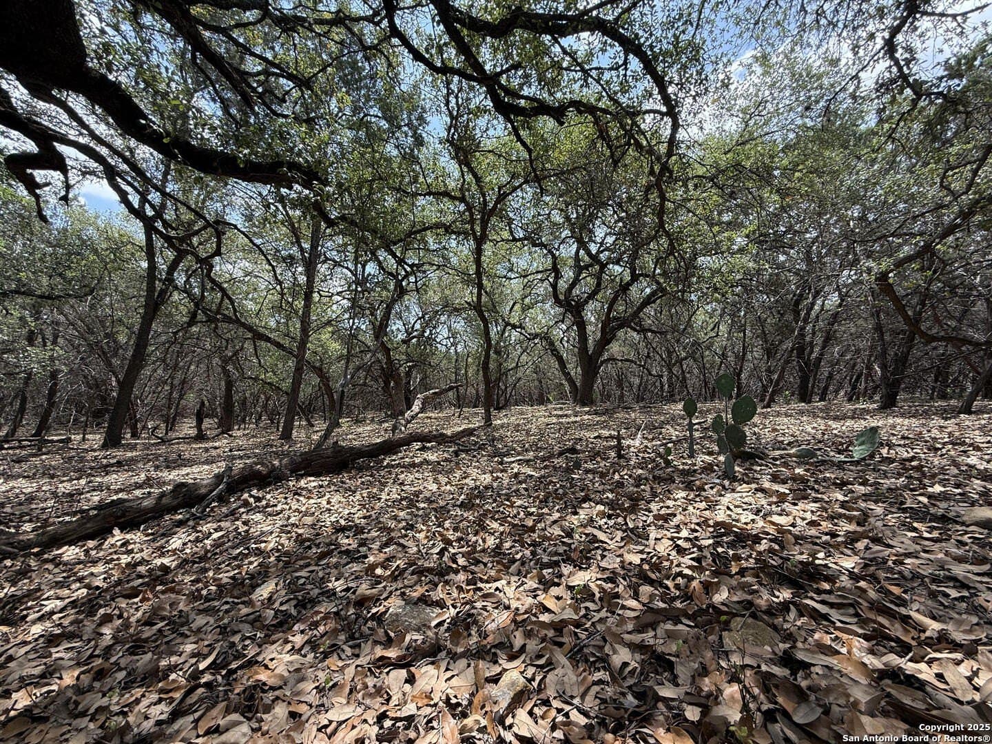 0.29 acres in Bexar County - photo 19