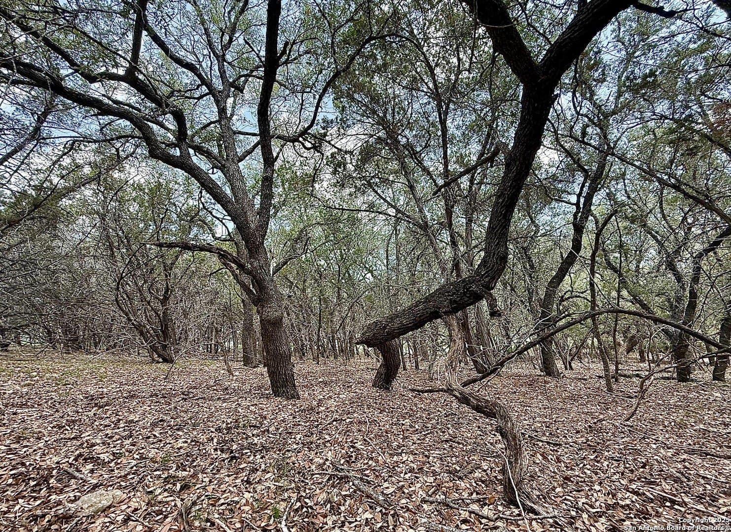0.29 acres in Bexar County - photo 13