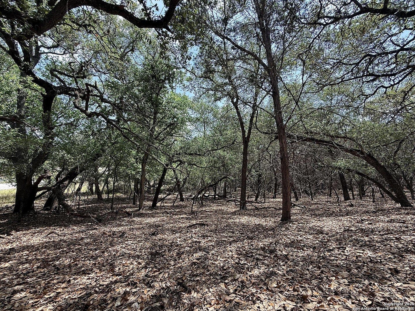 0.29 acres in Bexar County - photo 7