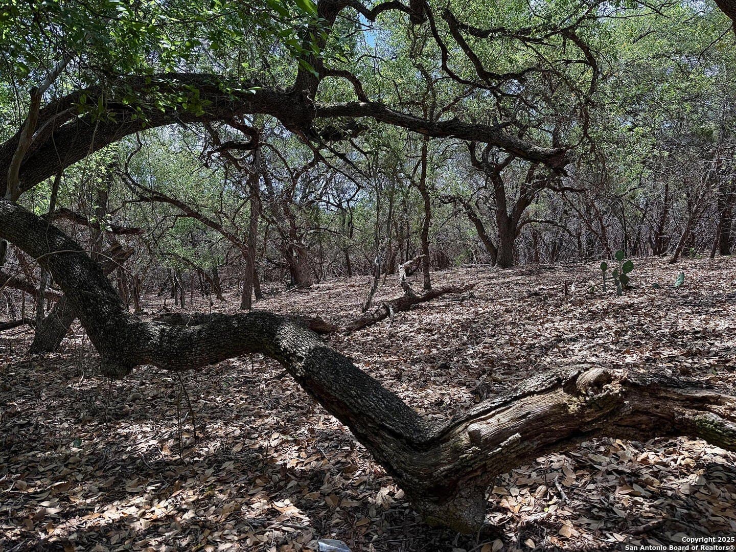 0.29 acres in Bexar County - photo 17