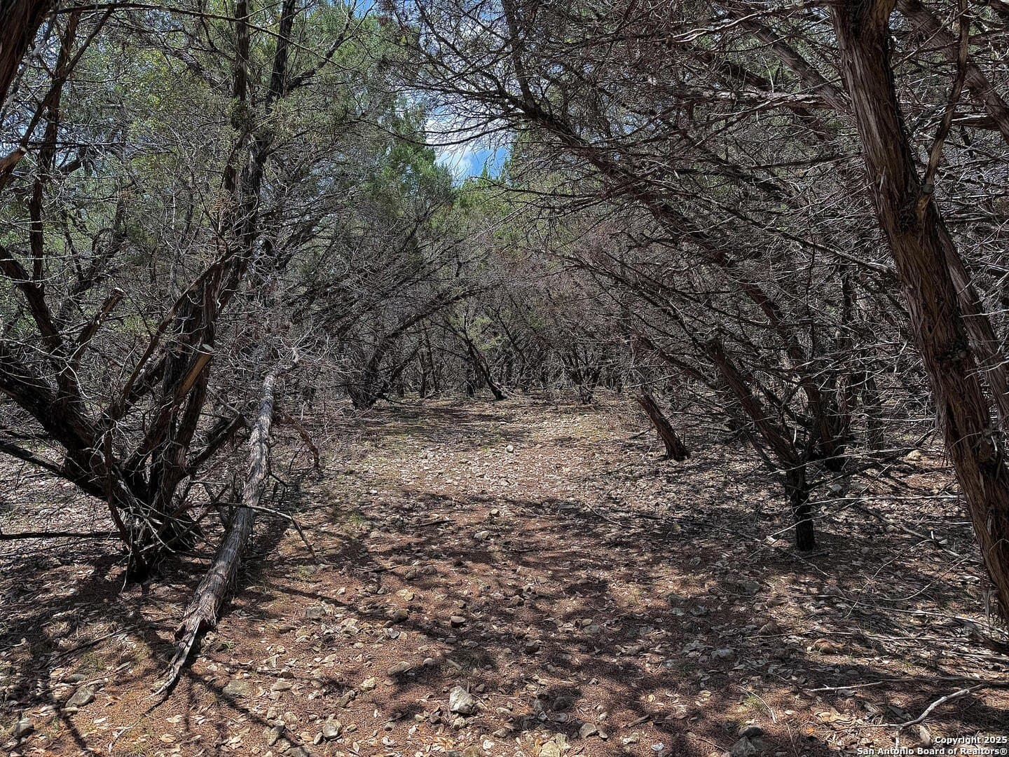 0.29 acres in Bexar County - photo 11