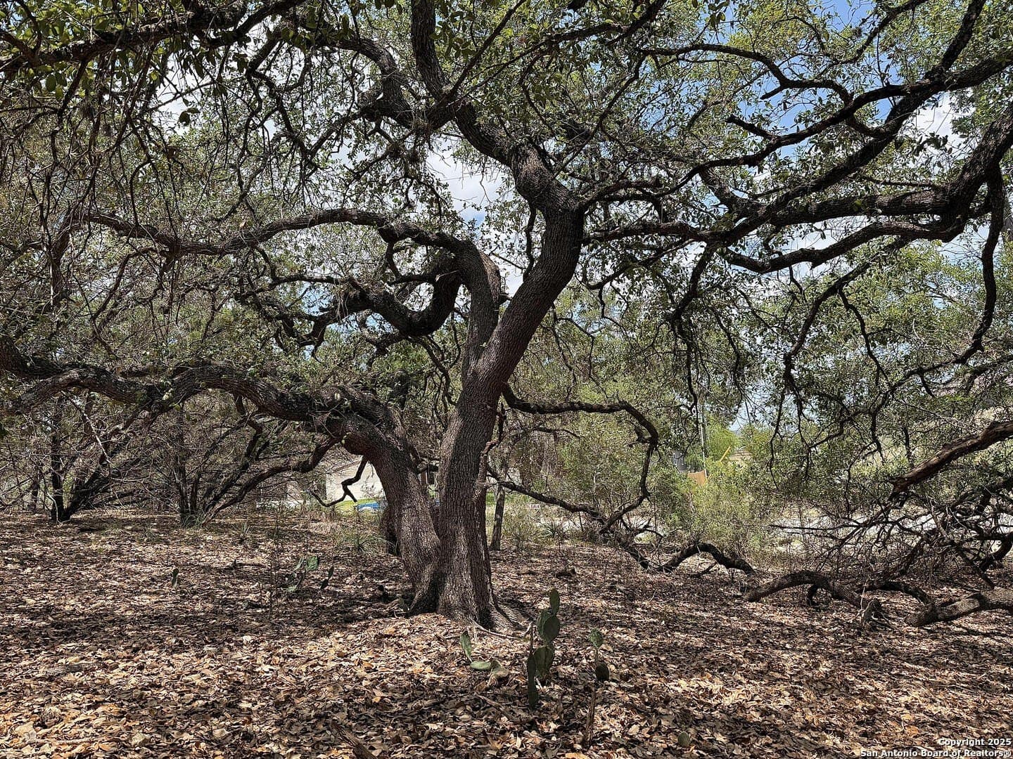 0.29 acres in Bexar County - photo 21