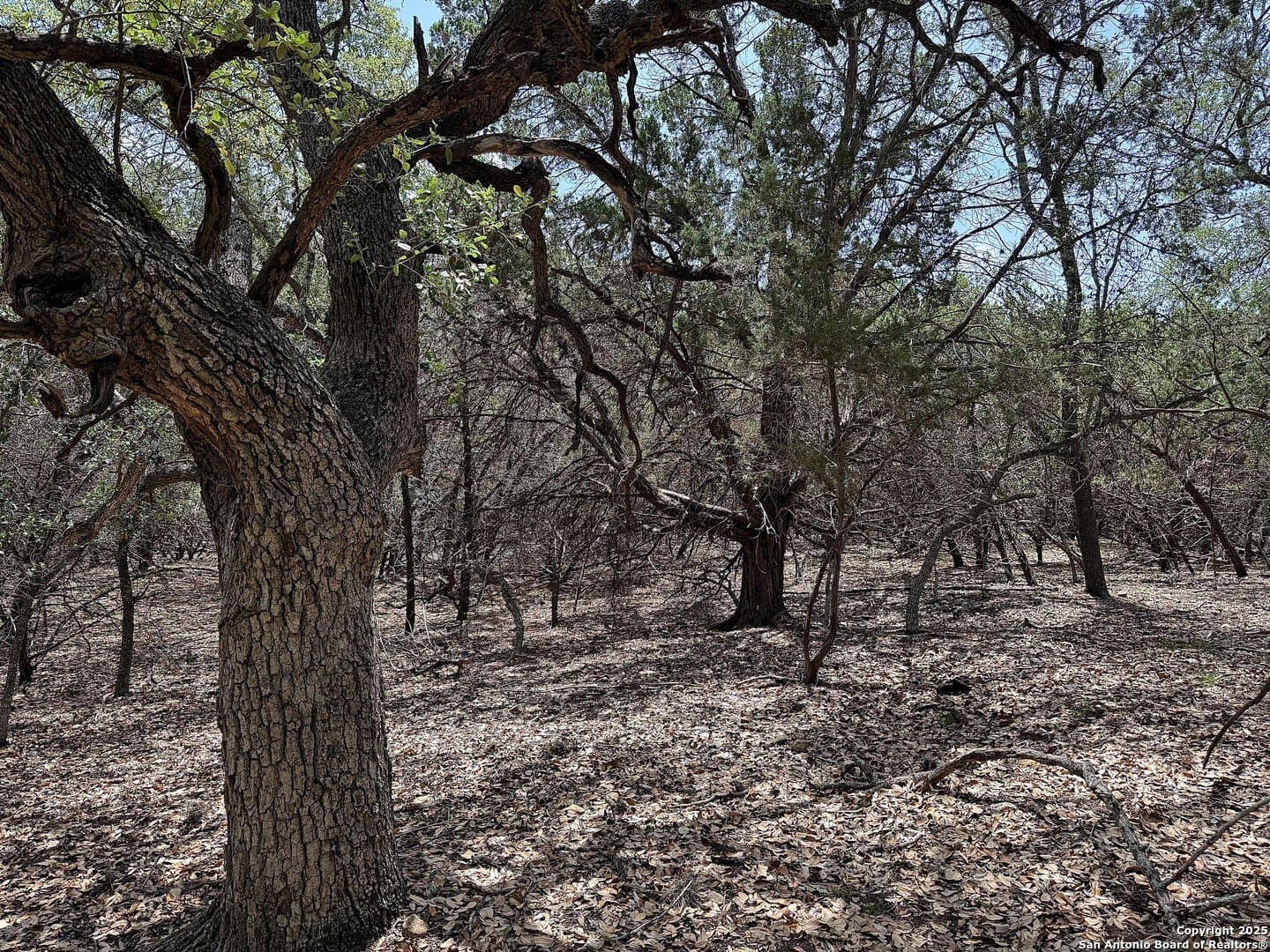 0.29 acres in Bexar County - photo 8