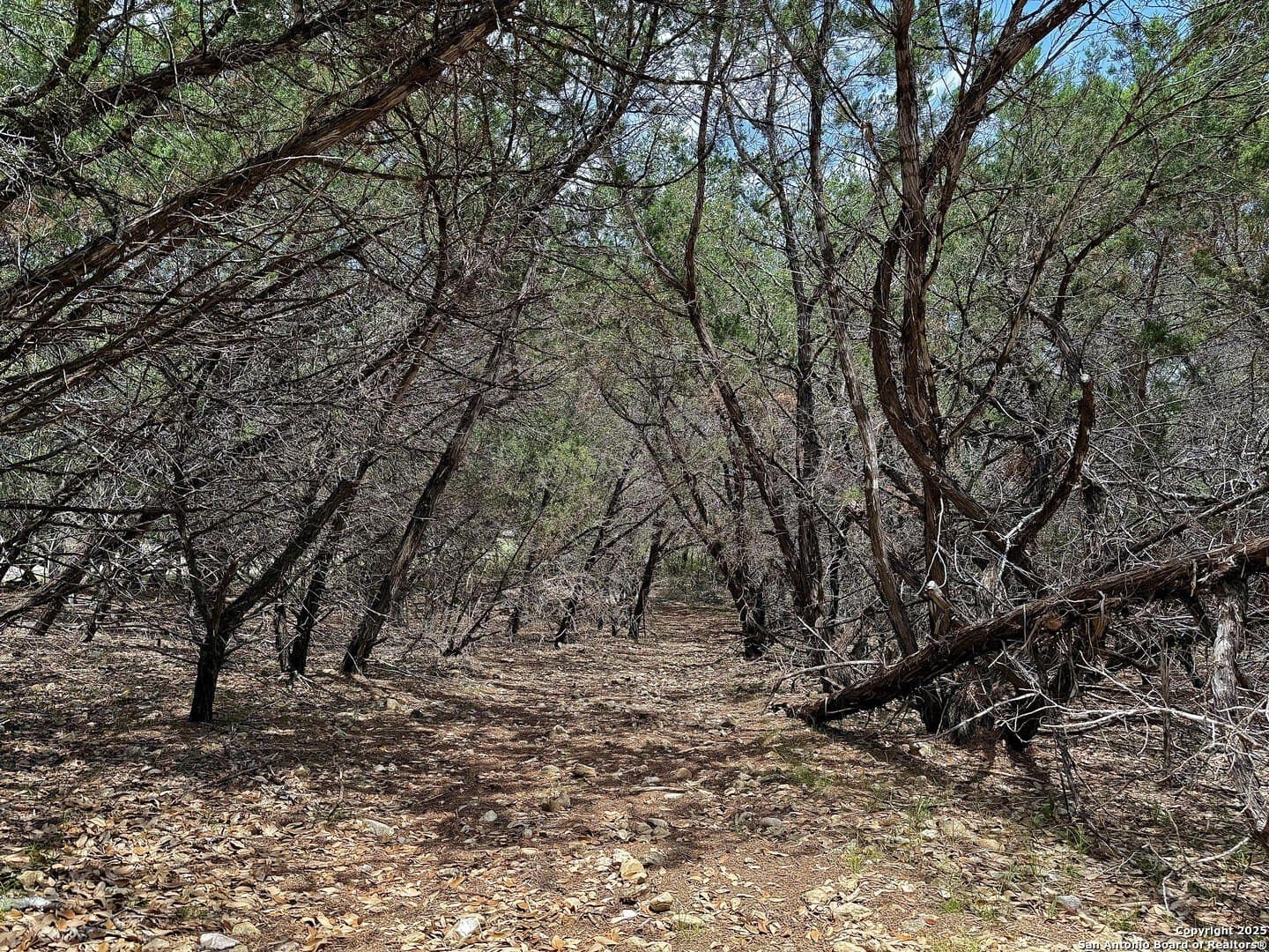 0.29 acres in Bexar County - photo 15
