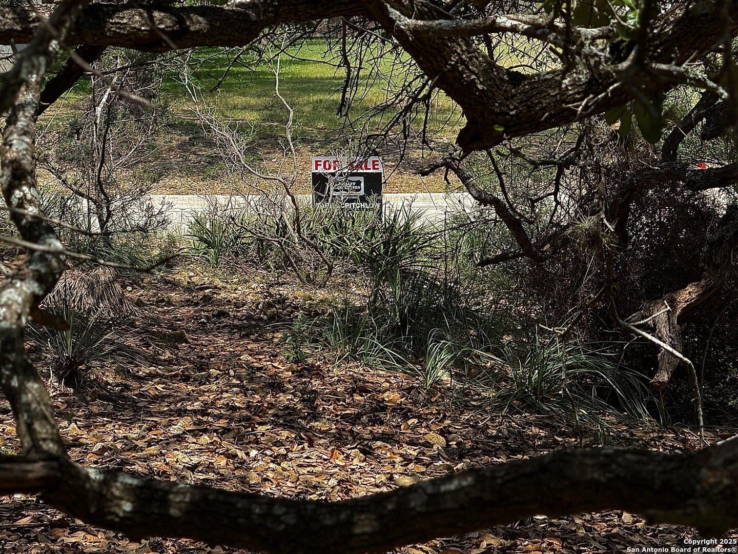 0.29 acres in Bexar County - photo 24