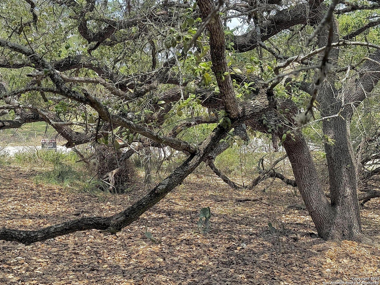 0.29 acres in Bexar County - photo 20