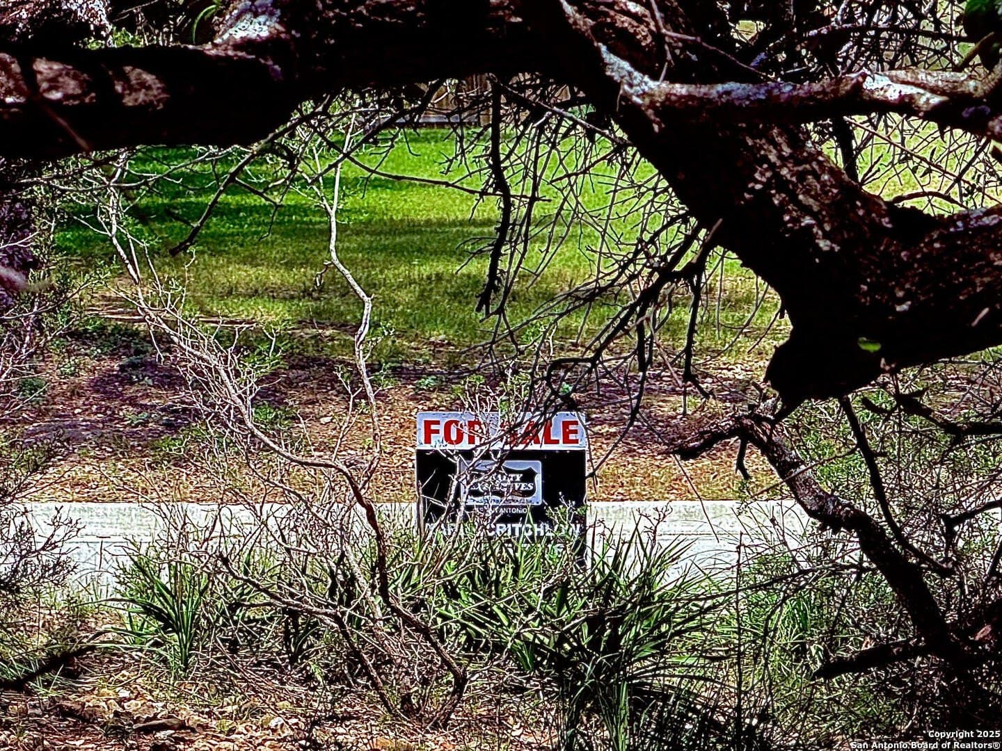 0.29 acres in Bexar County - photo 25