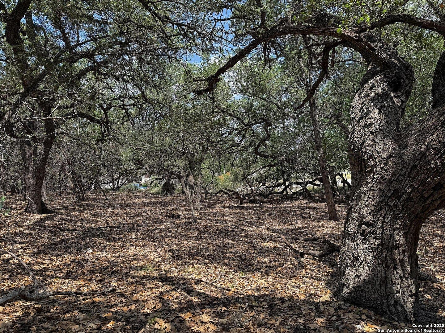 0.29 acres in Bexar County - photo 10