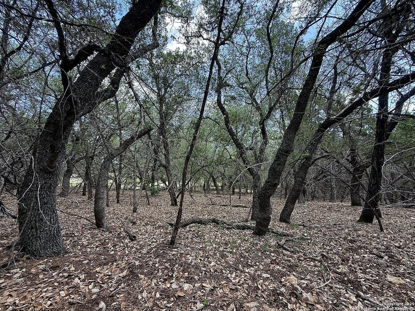 0.29 acres in Bexar County - photo 14