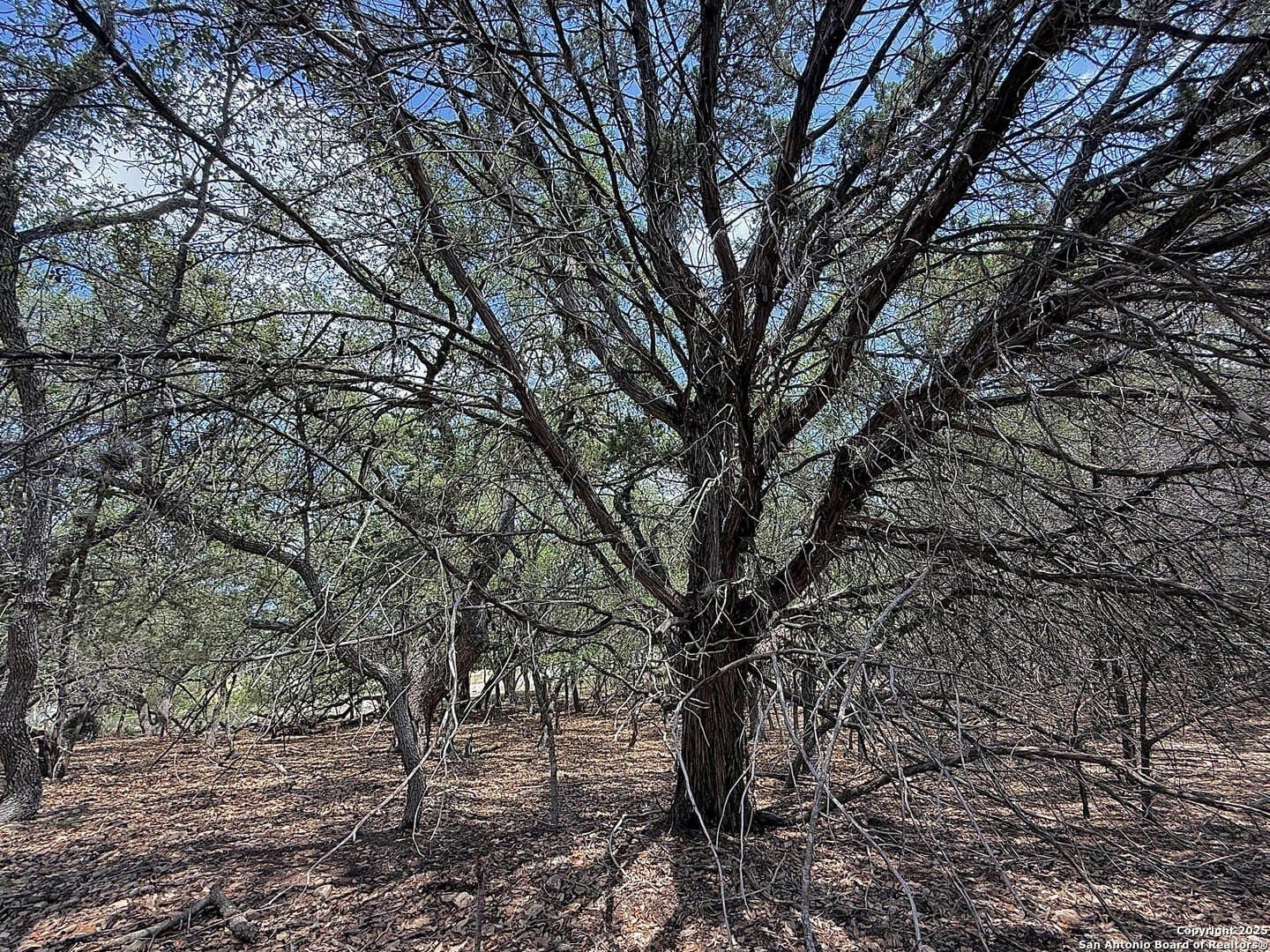 0.29 acres in Bexar County - photo 12