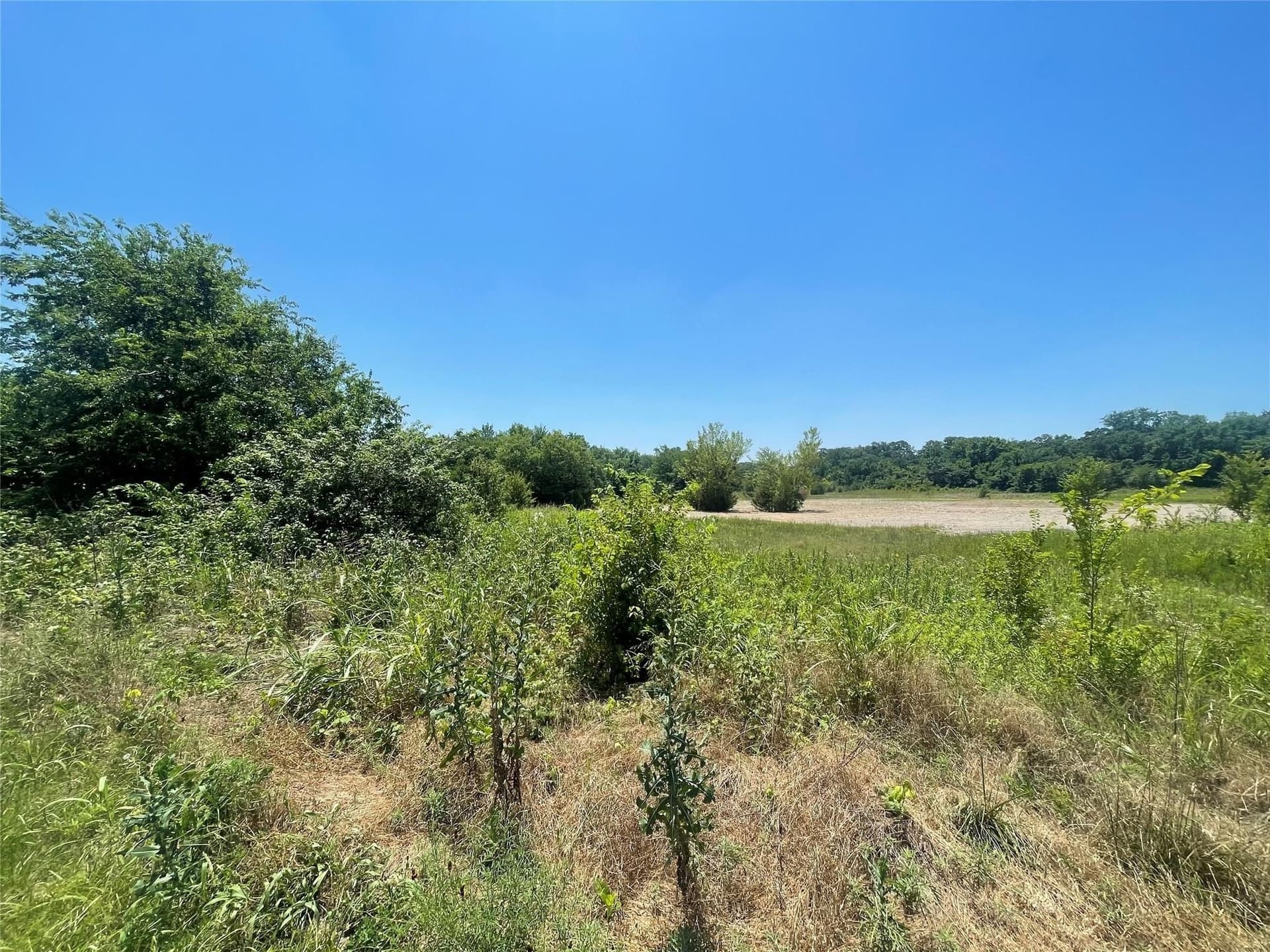 14.03 acres in Grayson County - photo 7