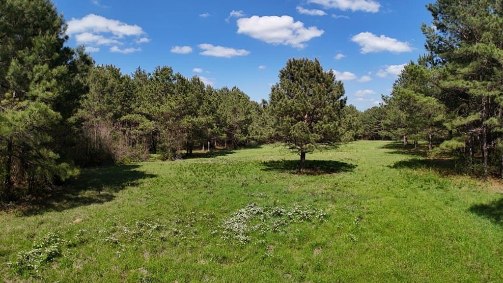 9.62 acres in Texas County gallery image 3