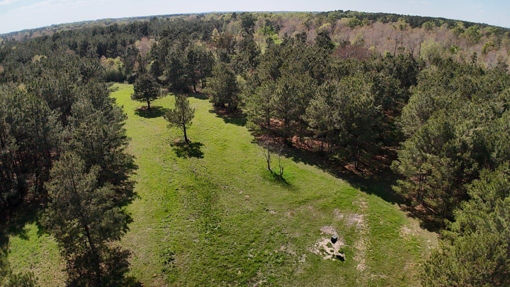 9.62 acres in Texas County featured view