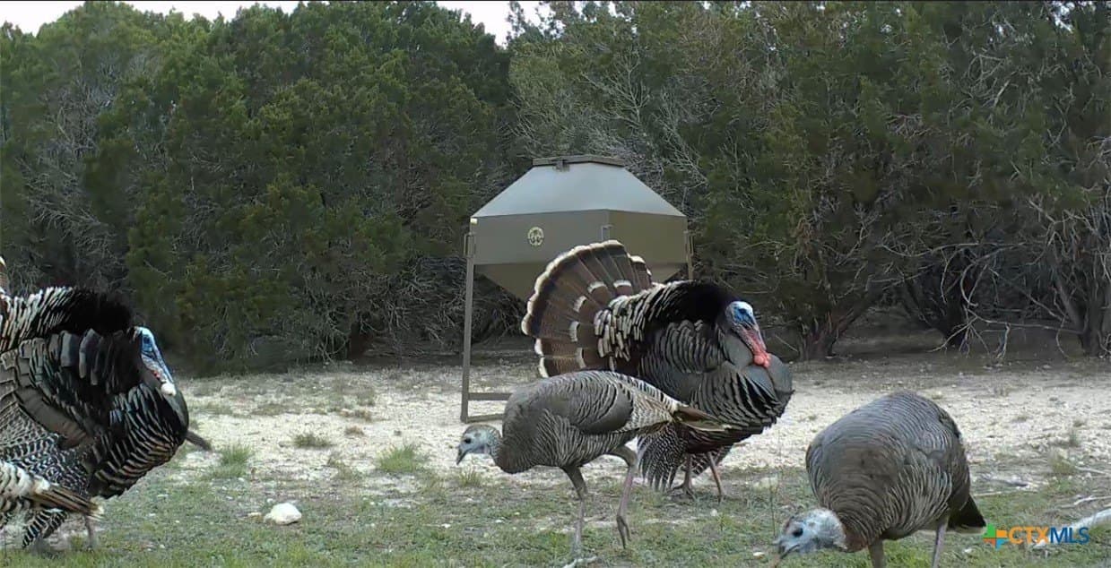 95.49 acres in Lampasas County - photo 38
