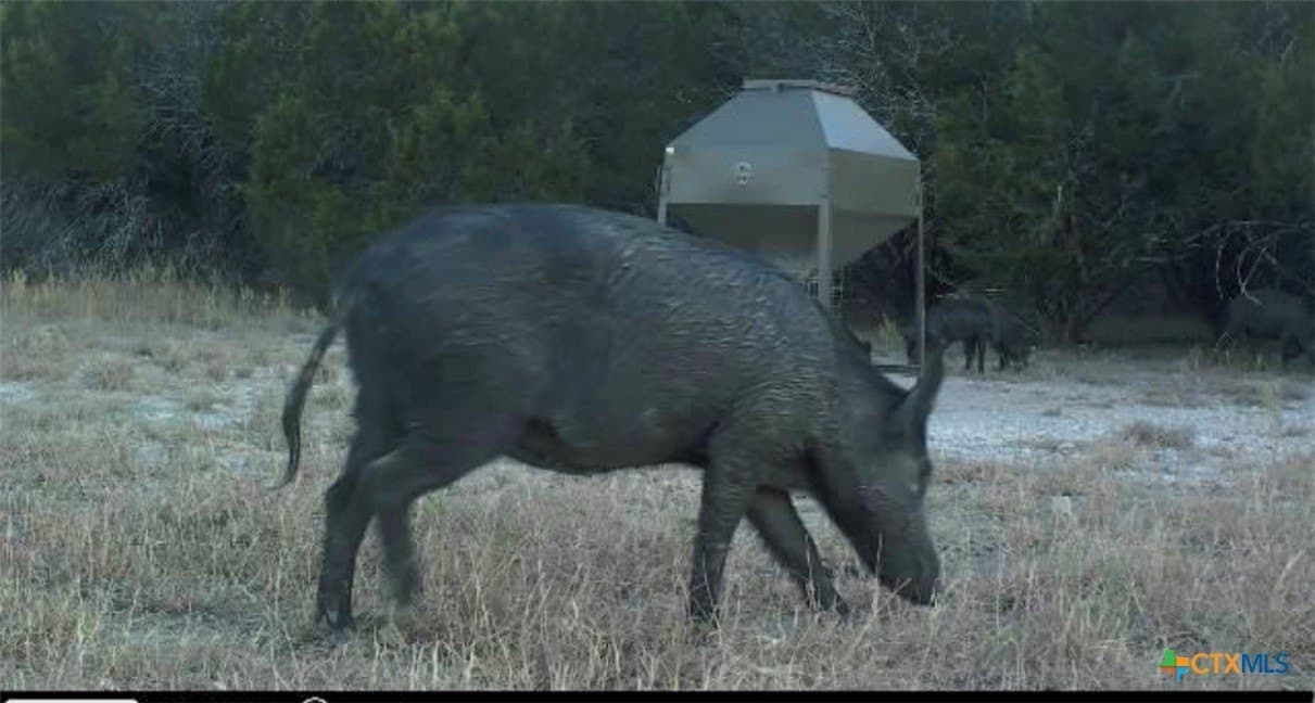 95.49 acres in Lampasas County - photo 37