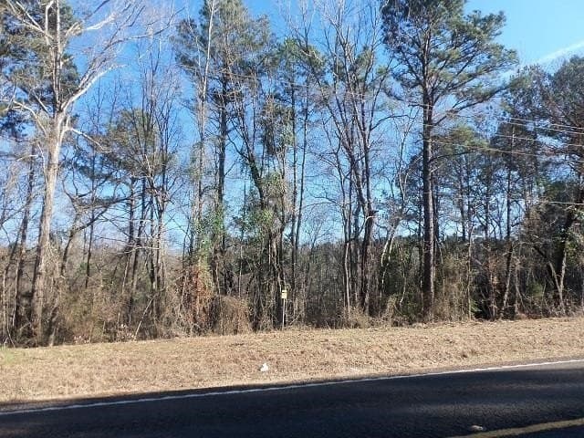 42 acres in Gregg County gallery image 3