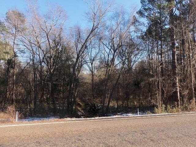 42 acres in Gregg County - photo 6
