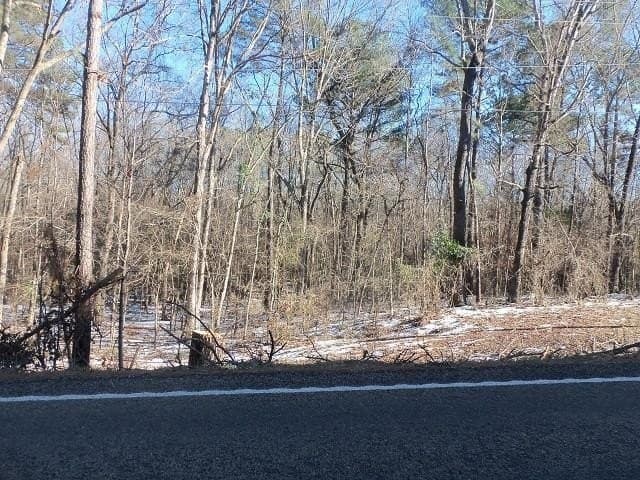 42 acres in Gregg County gallery image 4