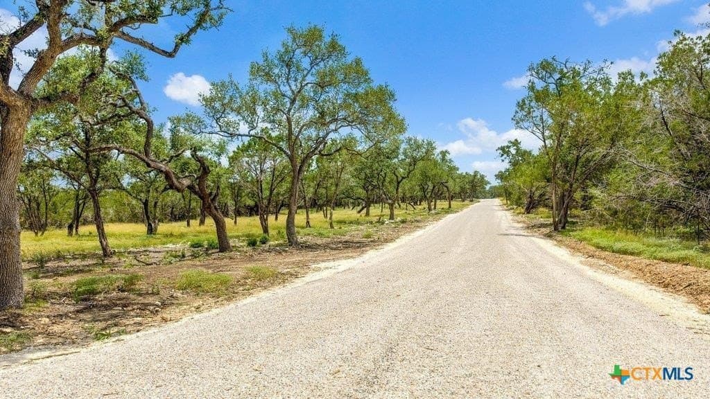 11 acres in Comal County - photo 11