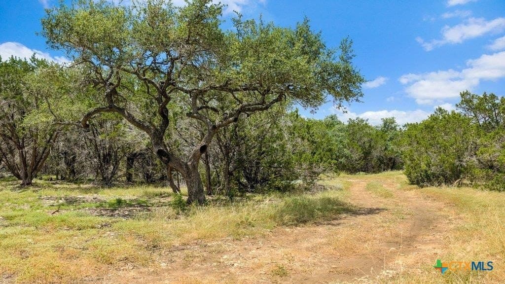 11 acres in Comal County - photo 7
